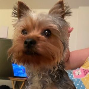 Meet your Posher, Jillian